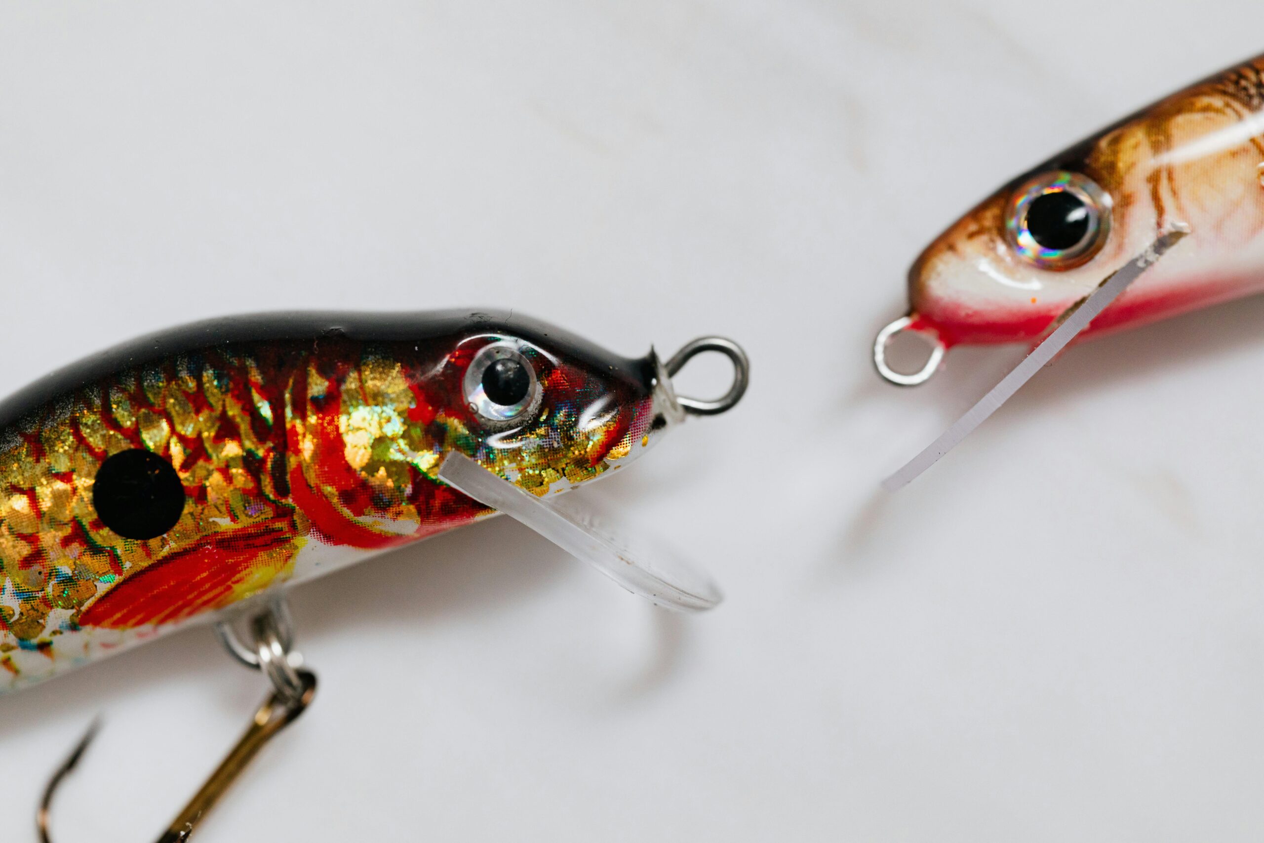 Close-up of colorful fish-shaped lures on a white backdrop, ideal for fishing enthusiasts.